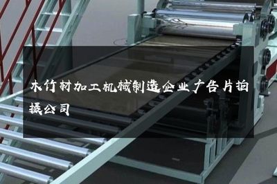 智造未來，共筑綠色家園——專業木竹材加工機械制造企業廣告片拍攝服務